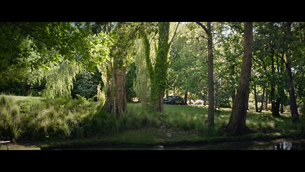 ブラックライトの画像