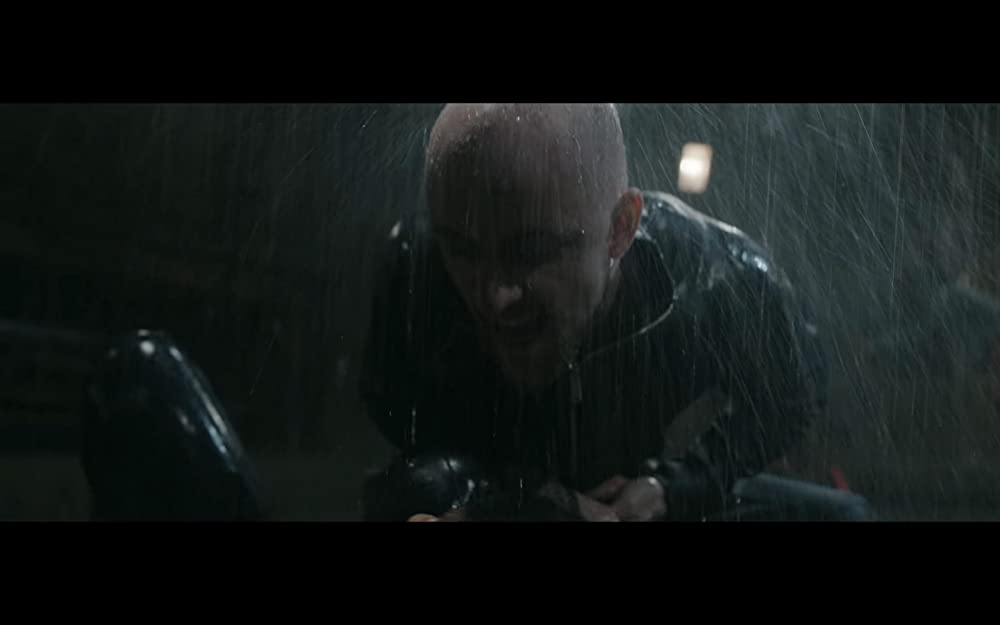 刑事ジョン・ルーサー: フォール ン・サンの画像