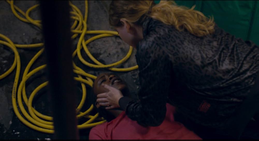 トリとロキタの画像