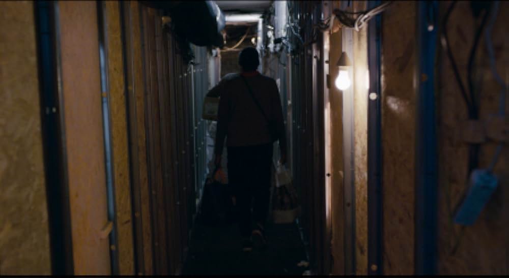 トリとロキタの画像