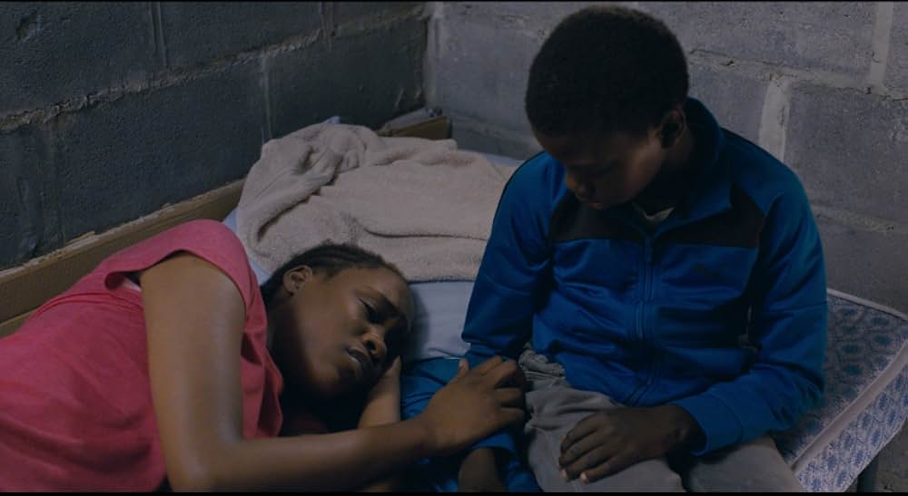 トリとロキタの画像