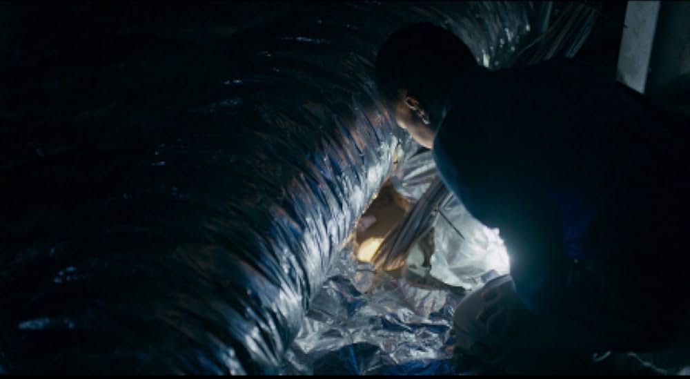 トリとロキタの画像