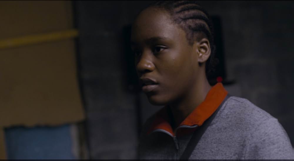 トリとロキタの画像