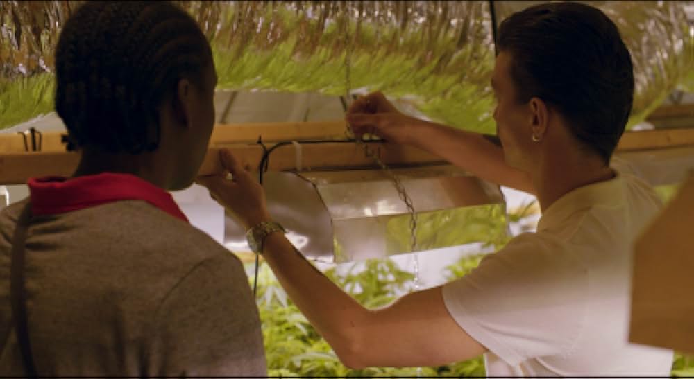 トリとロキタの画像