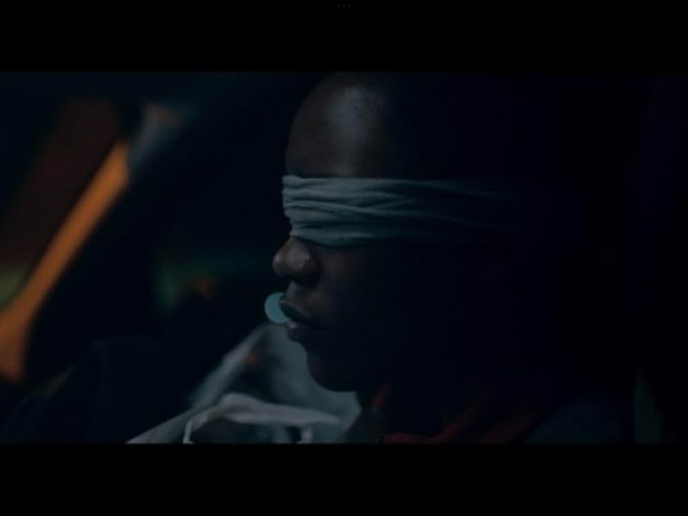 トリとロキタの画像