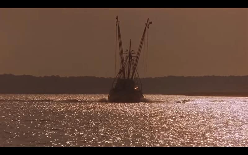 サウス・キャロライナ／愛と追憶の彼方の画像