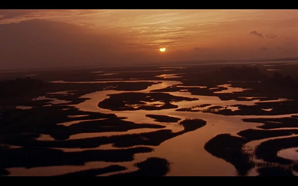 「サウス・キャロライナ／愛と追憶の彼方」の画像