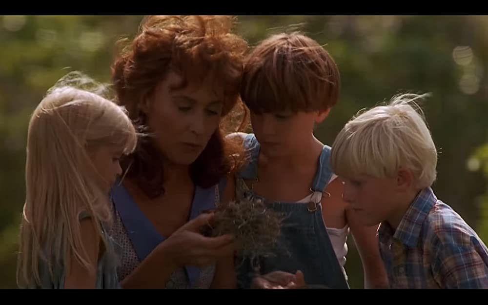 「サウス・キャロライナ／愛と追憶の彼方」ケイト・ネリガンの画像