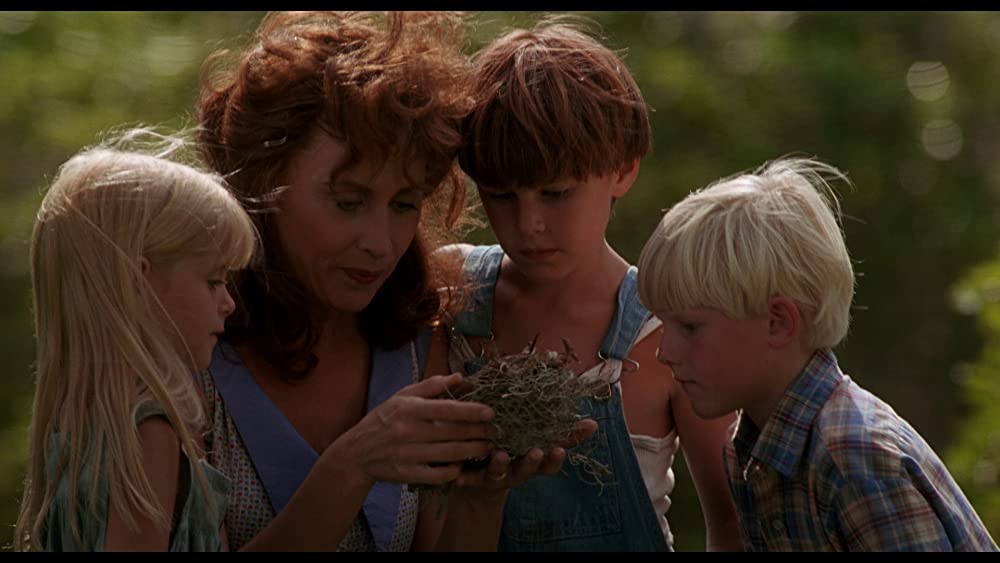 「サウス・キャロライナ／愛と追憶の彼方」ケイト・ネリガンの画像