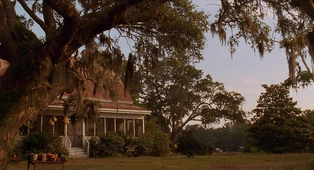 「サウス・キャロライナ／愛と追憶の彼方」の画像