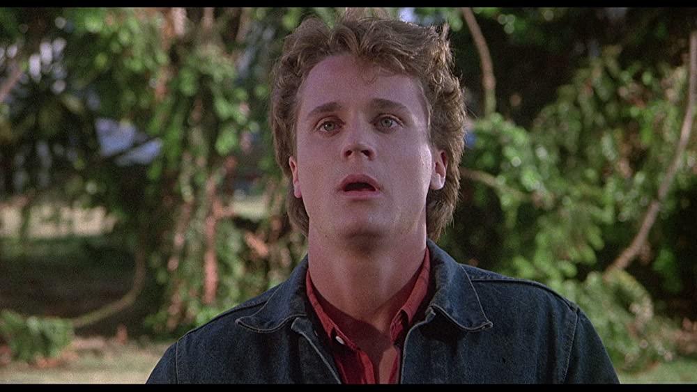 リターン・オブ・ザ・キラー・トマトの画像