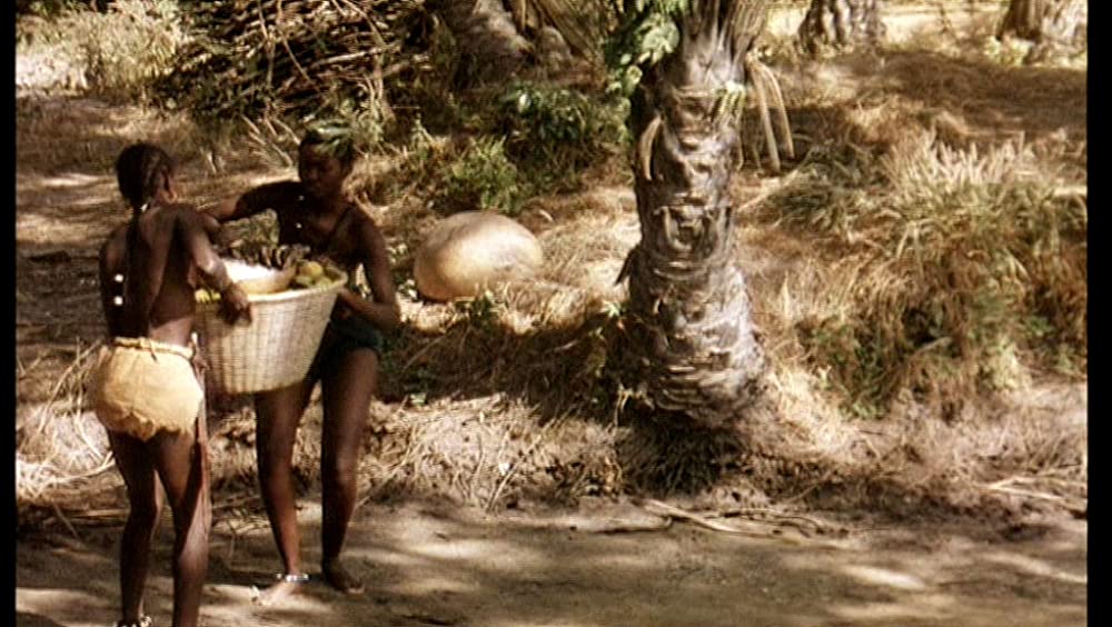 そして光ありきの画像