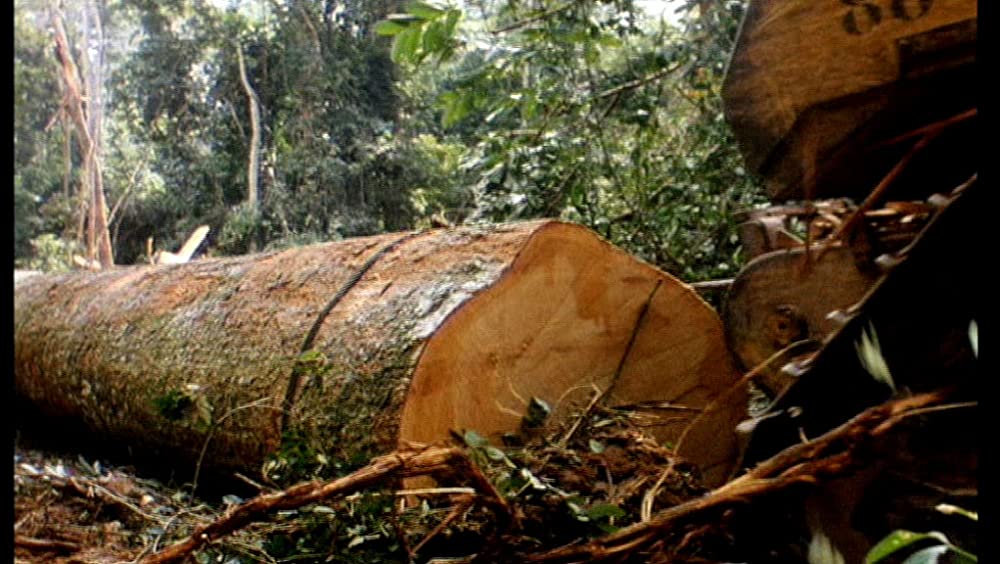 そして光ありきの画像