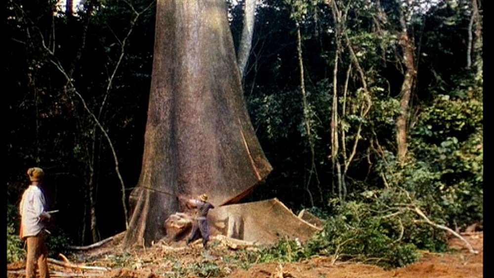 そして光ありきの画像