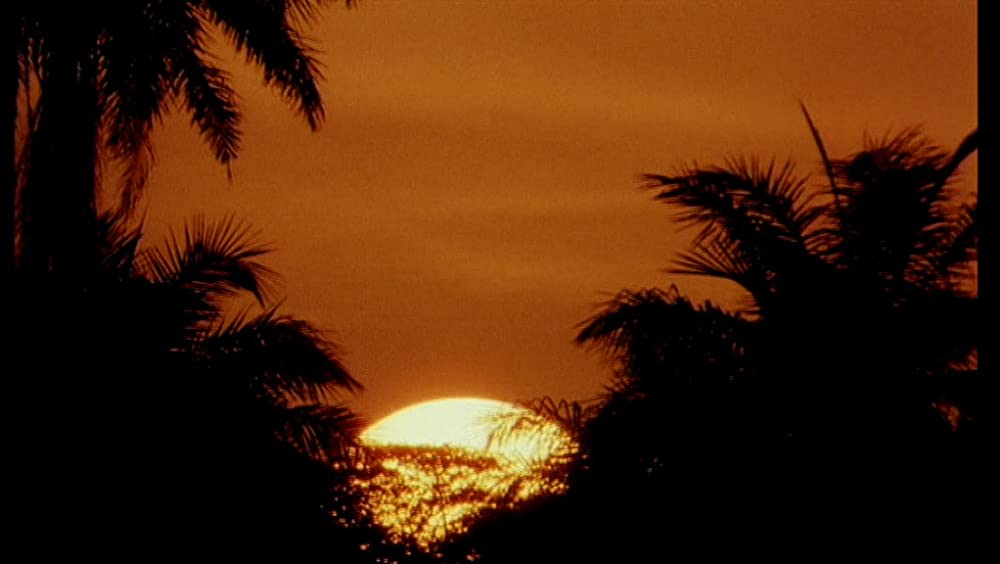 そして光ありきの画像