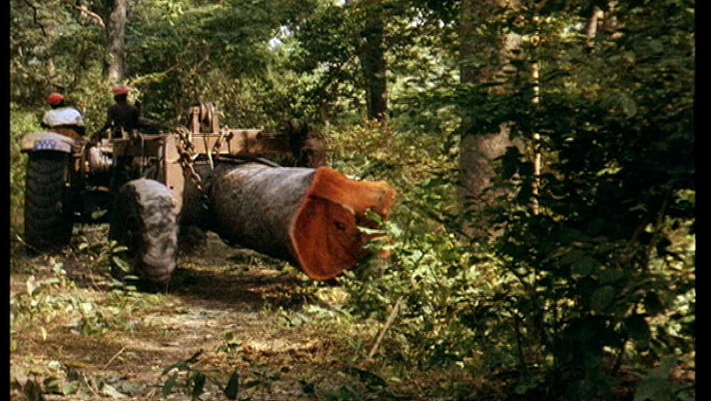 そして光ありきの画像