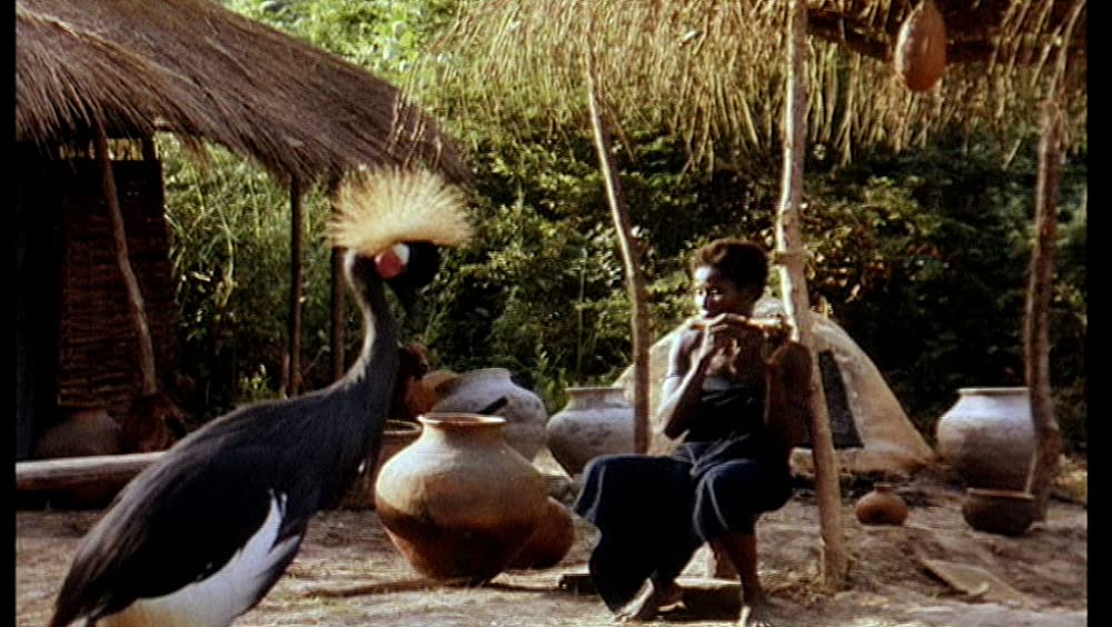 そして光ありきの画像