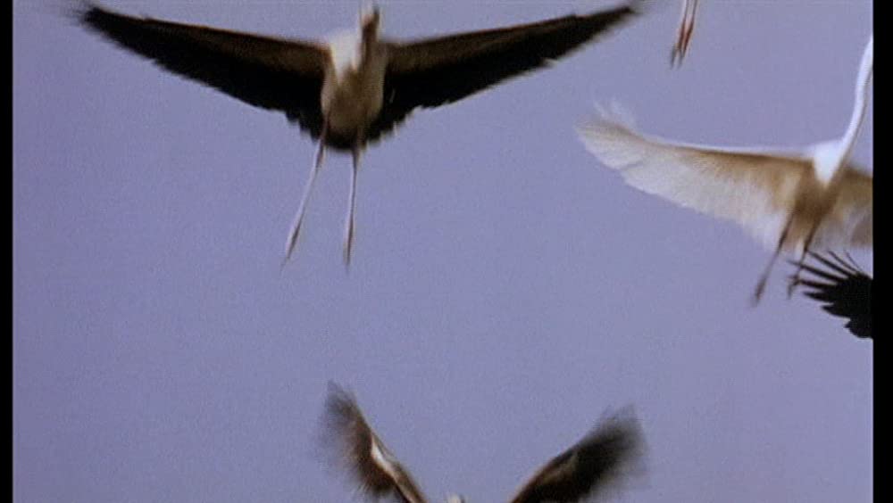 そして光ありきの画像