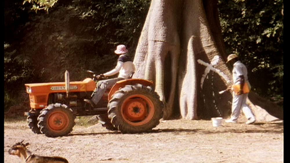 そして光ありきの画像