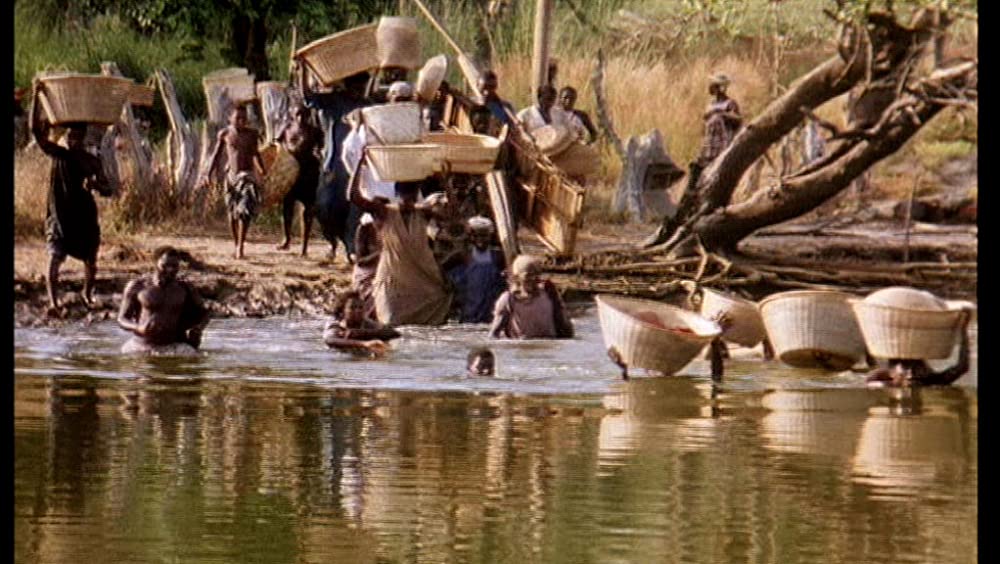 そして光ありきの画像