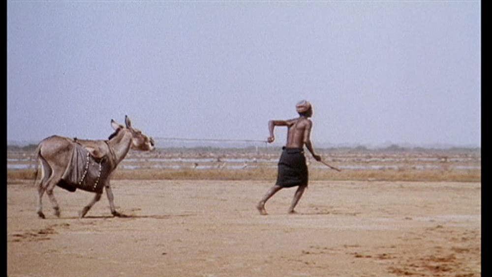 そして光ありきの画像