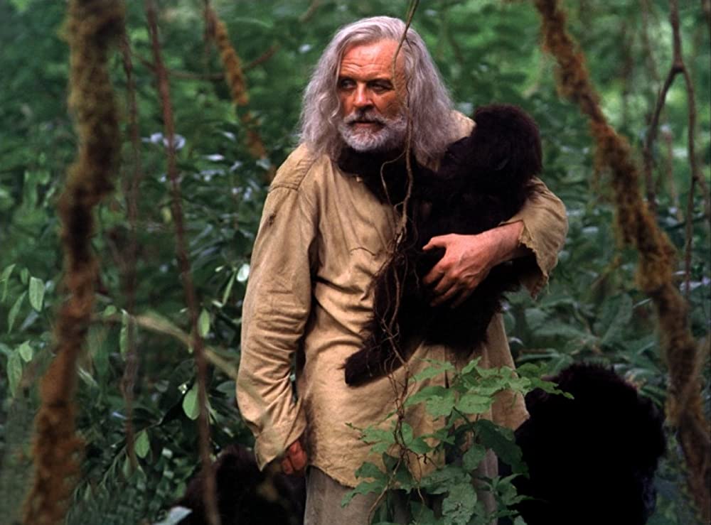 ハーモニーベイの夜明けの画像