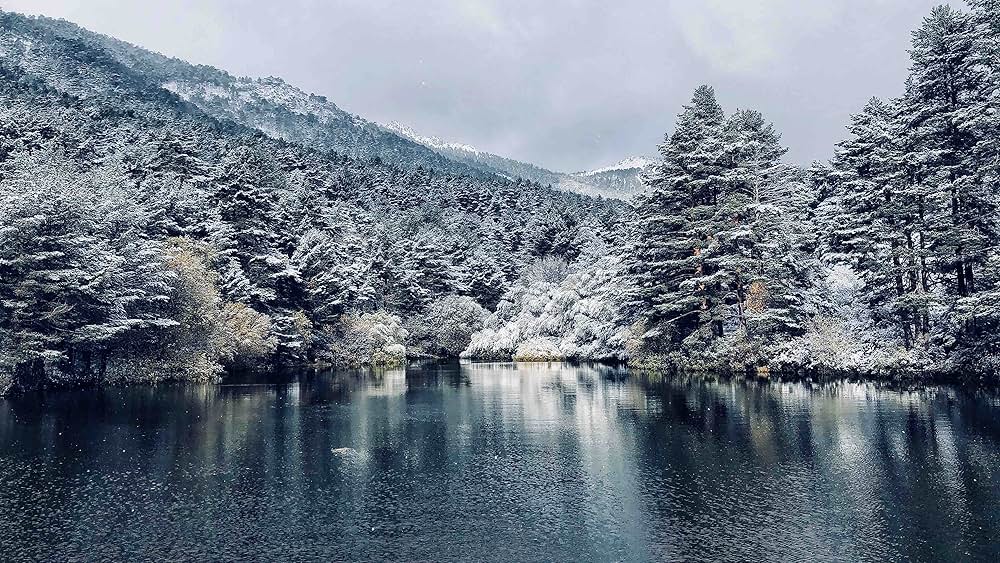 リーサルウイルス 全人類厳戒態勢の画像