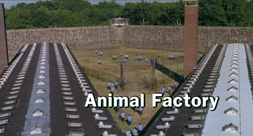 アニマル・ファクトリーの画像