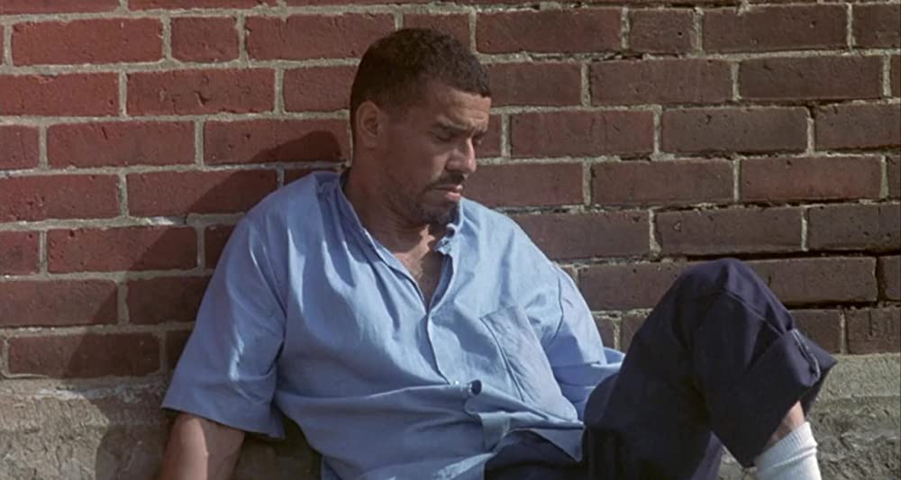 アニマル・ファクトリーの画像