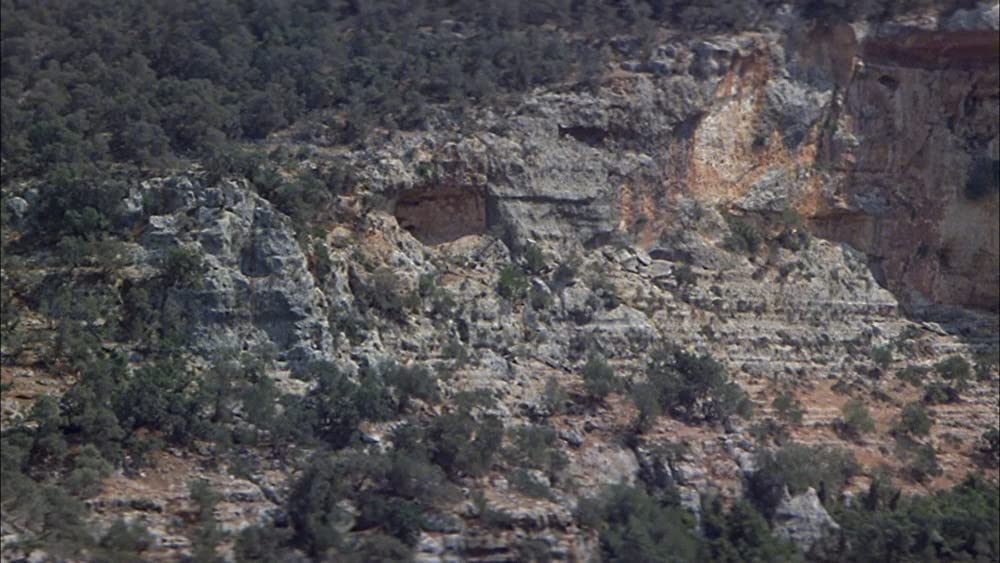 砂漠のライオンの画像