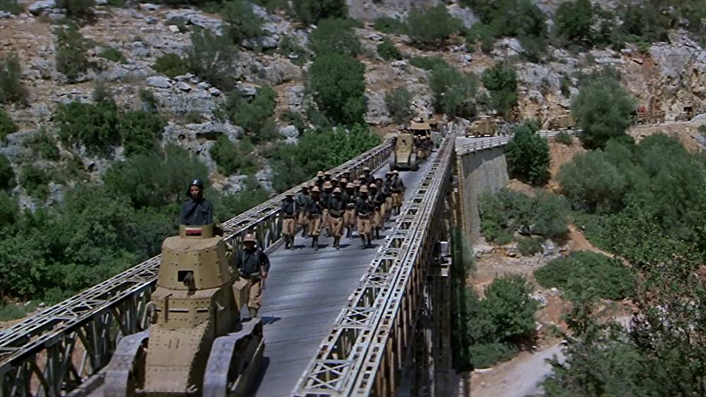 砂漠のライオンの画像