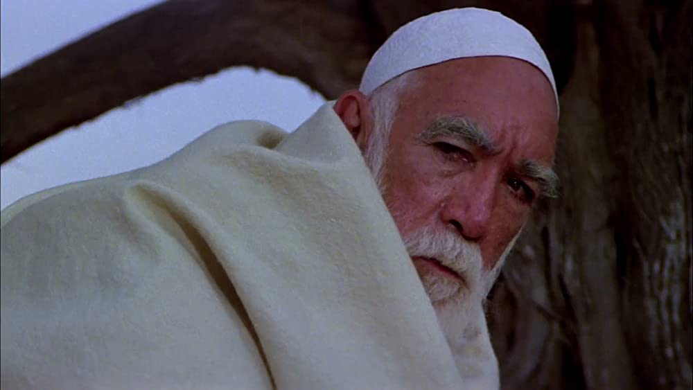 砂漠のライオンの画像