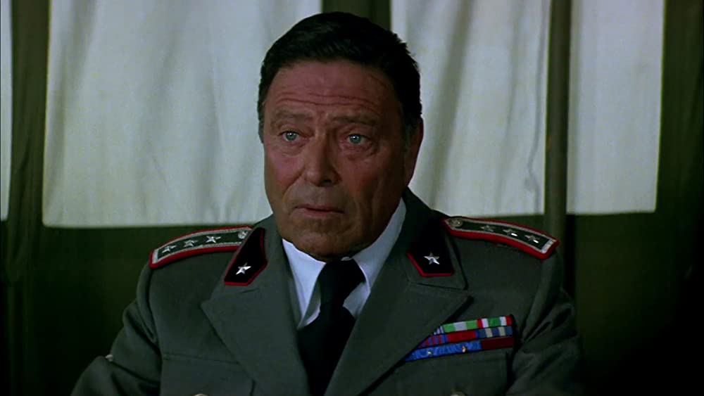 砂漠のライオンの画像