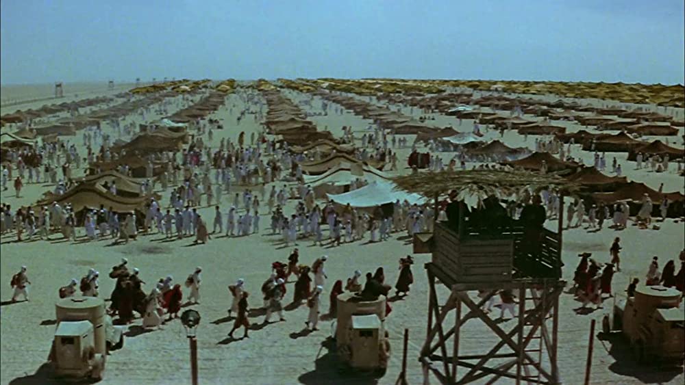 砂漠のライオンの画像