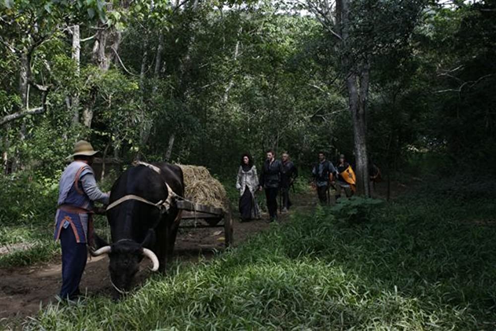 美女&野獣の画像
