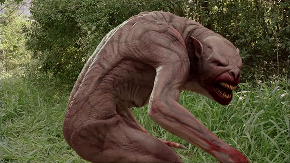 美女&野獣の画像