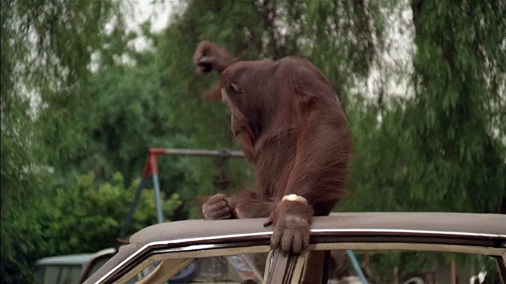 ダーティファイター／燃えよ鉄拳の画像