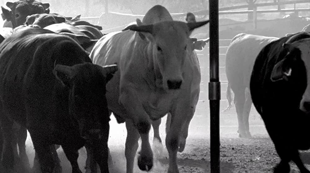 テンプル・グランディン～自閉症とともにの画像