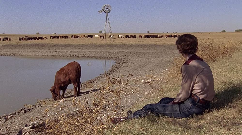 「テンプル・グランディン～自閉症とともに」クレア・デーンズの画像