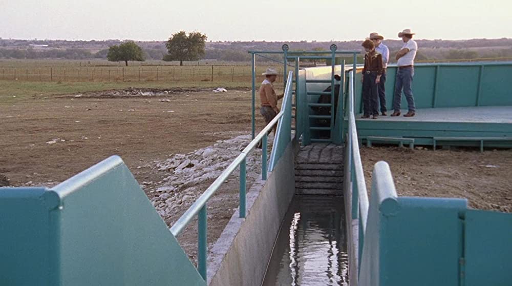 テンプル・グランディン～自閉症とともにの画像