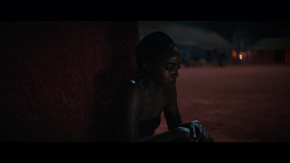 ウーマン・キング 無敵の女戦士たちの画像