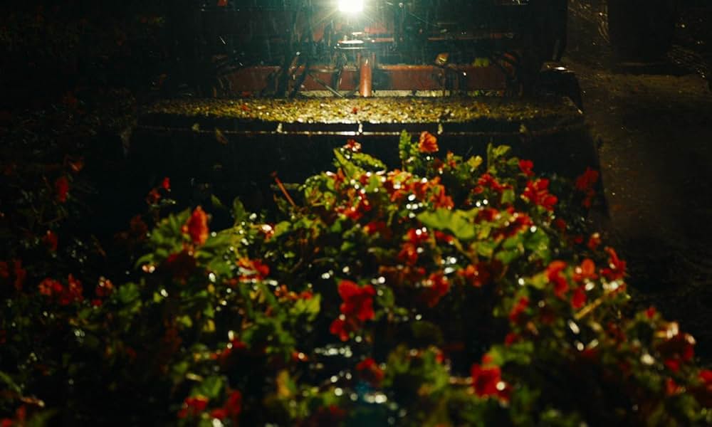 CLOSE／クロースの画像