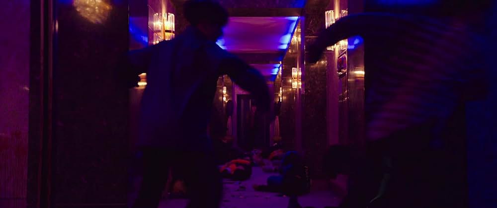 THE KILLER／暗殺者の画像