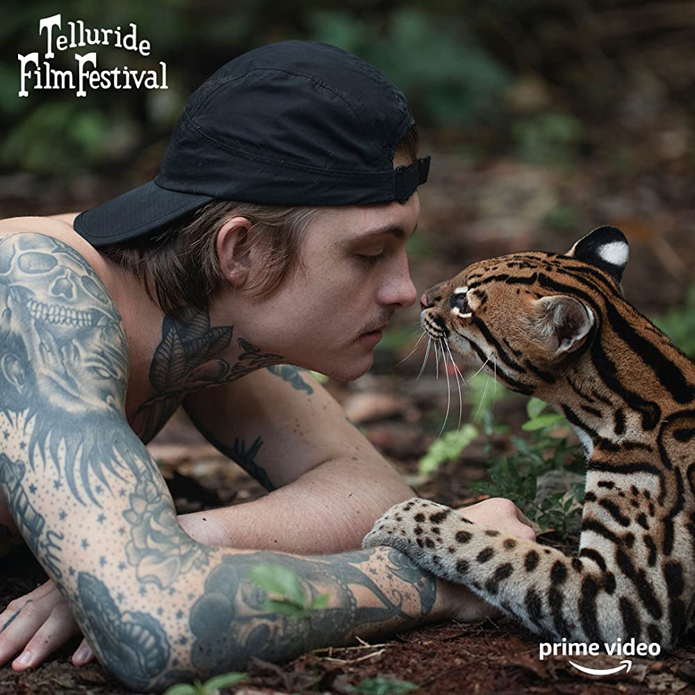 ワイルドキャットの画像