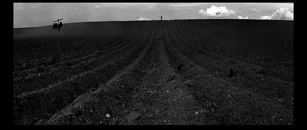 日蔭のふたりの画像