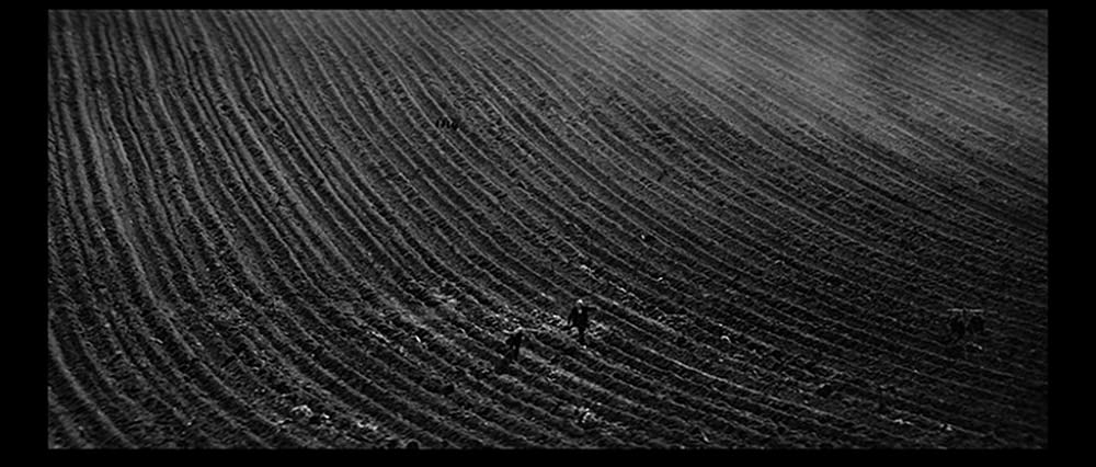 日蔭のふたりの画像