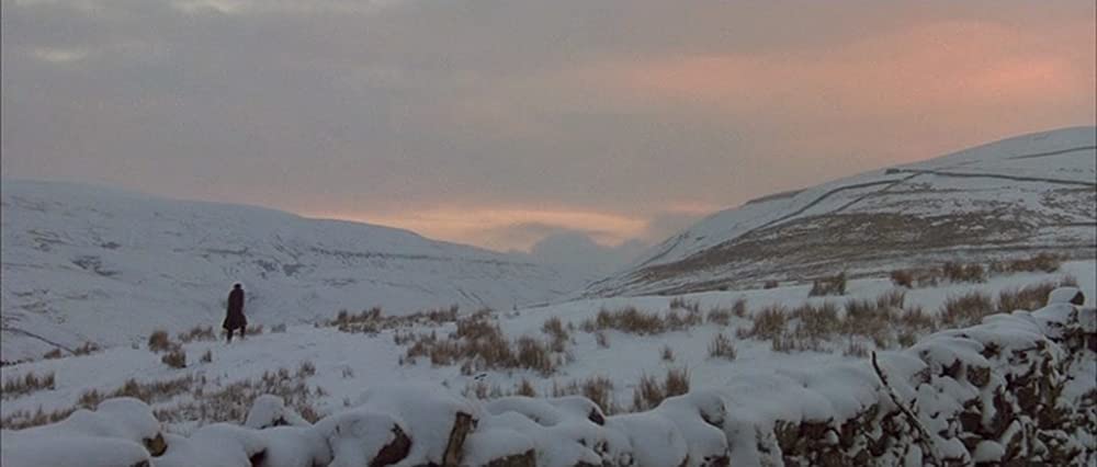 日蔭のふたりの画像