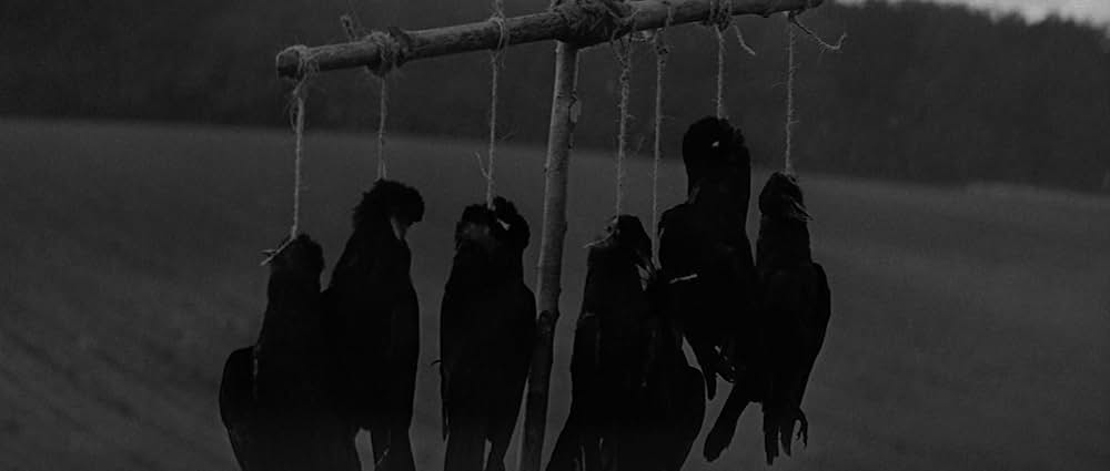 日蔭のふたりの画像