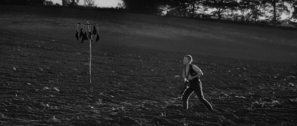 日蔭のふたりの画像