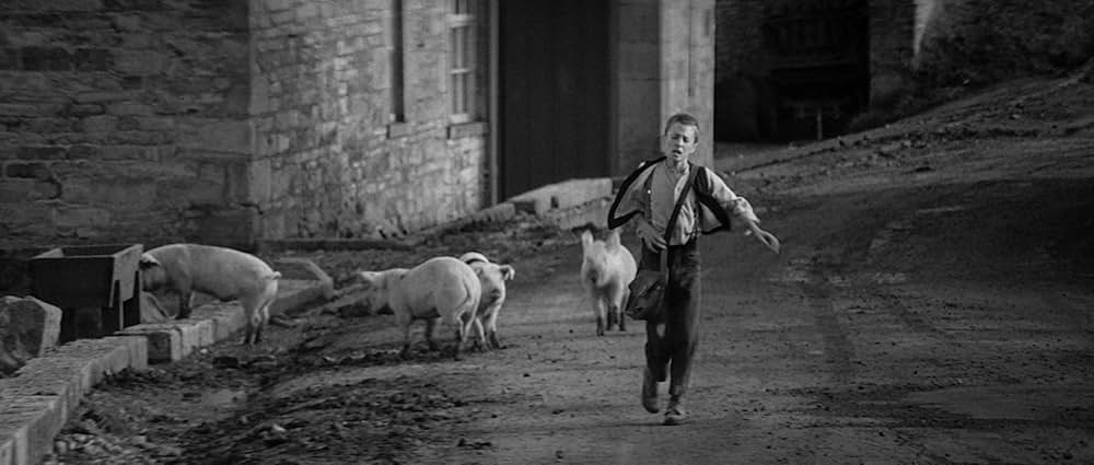 日蔭のふたりの画像